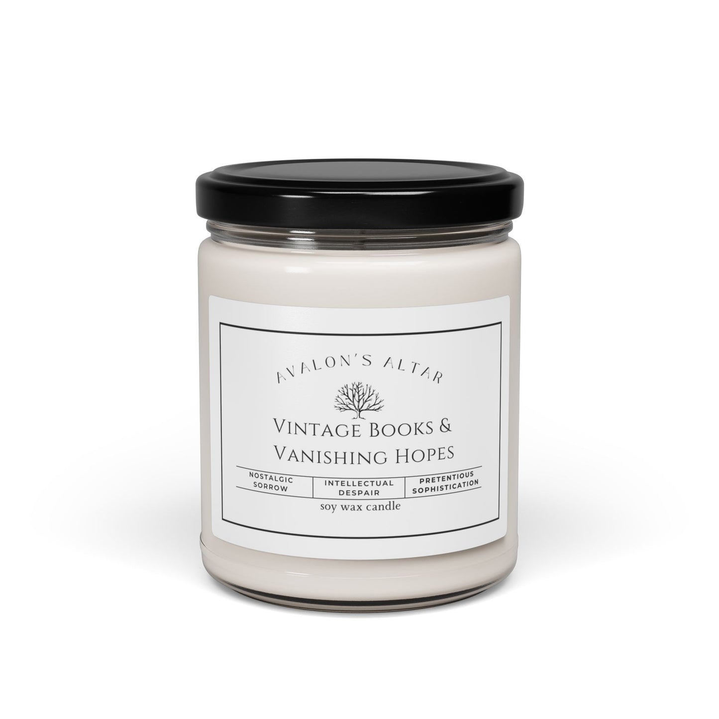 Vintage Books and Vanishing Hopes Scented Soy Candle, 9oz - Avalon's Altar